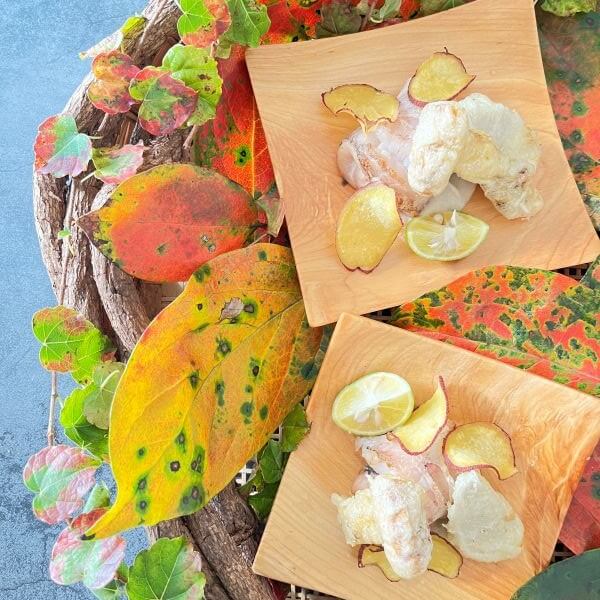 写真1